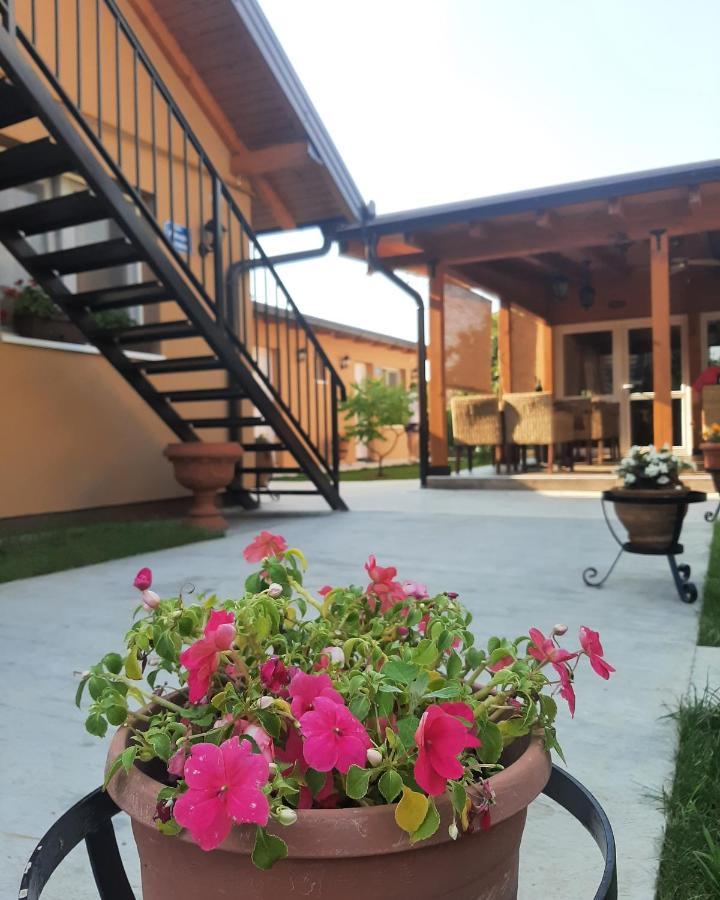 Villa Klara Novi Sad Luaran gambar