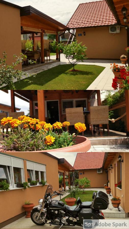 Villa Klara Novi Sad Luaran gambar