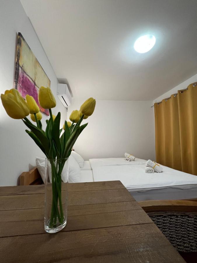 Villa Klara Novi Sad Luaran gambar