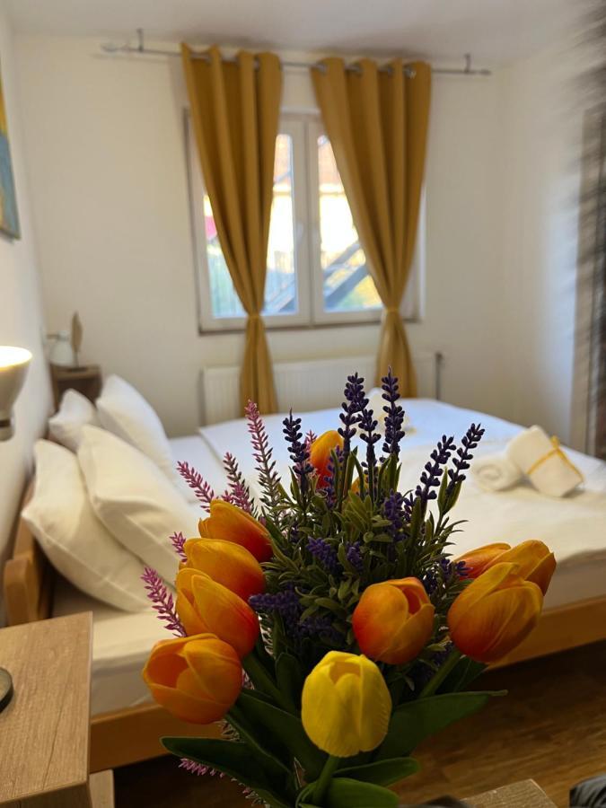 Villa Klara Novi Sad Luaran gambar