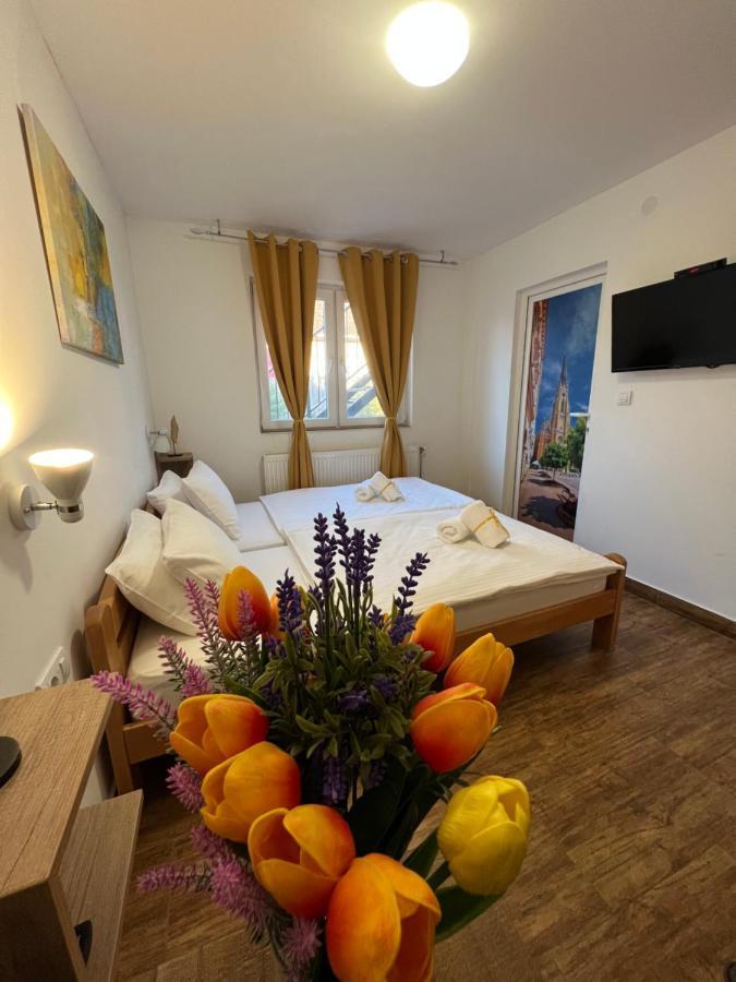 Villa Klara Novi Sad Luaran gambar